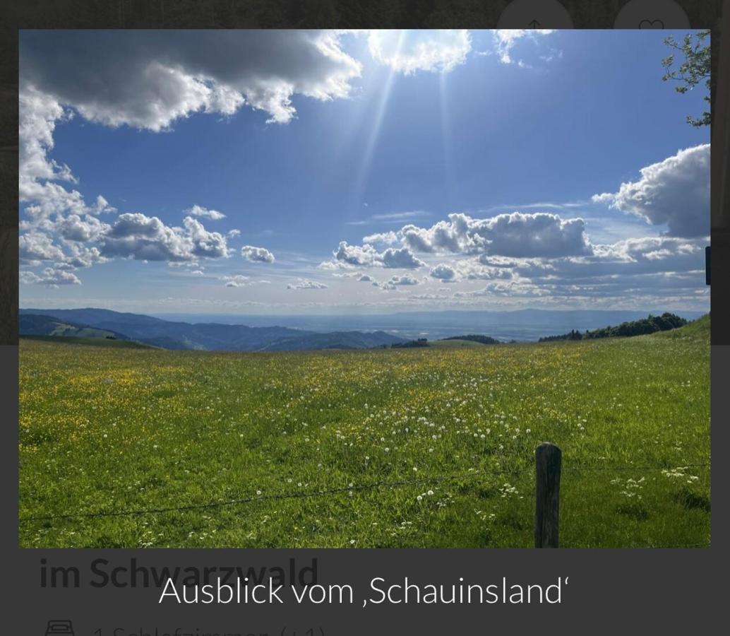 Toscana-Residenz Im Schwarzwald Utzenfeld Dış mekan fotoğraf